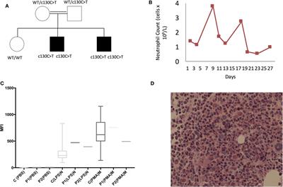 Glucose-6-Phosphatase Catalytic Subunit 3 (G6PC3) Deficiency Associated With Autoinflammatory Complications